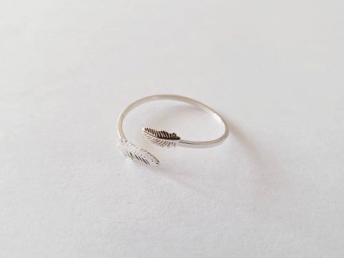 Plumes argent