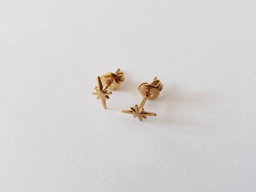 Mini puces Moon and Stars or
