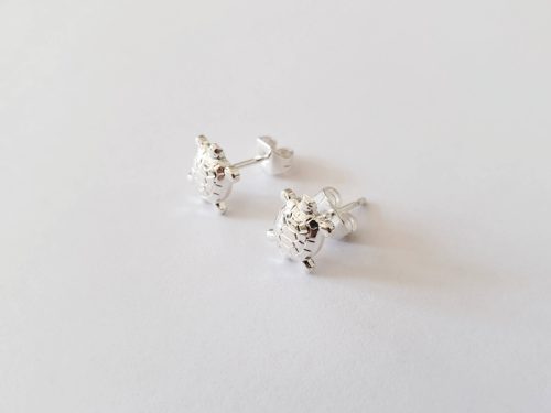 Turtle argent