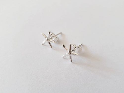 Starfish argent