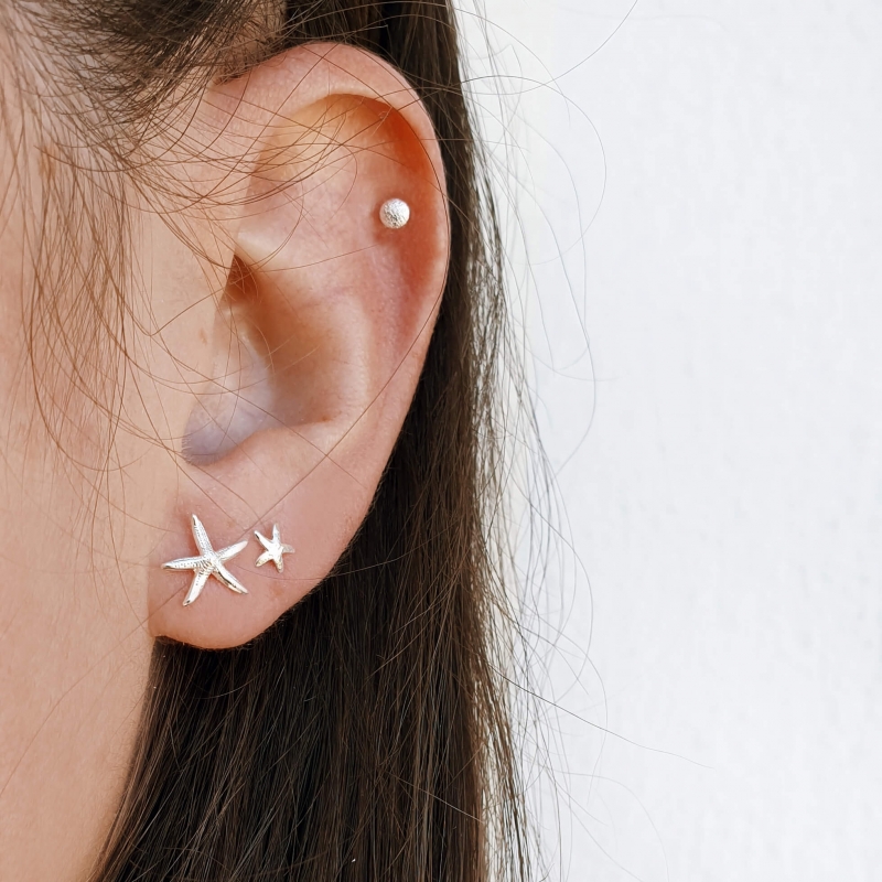 Starfish argent Starfish argent
